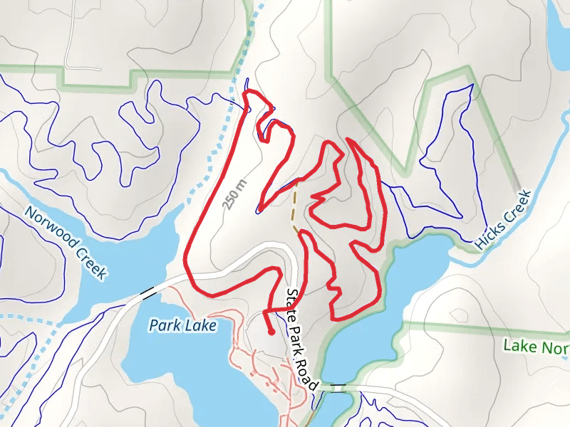 Hawk Loop