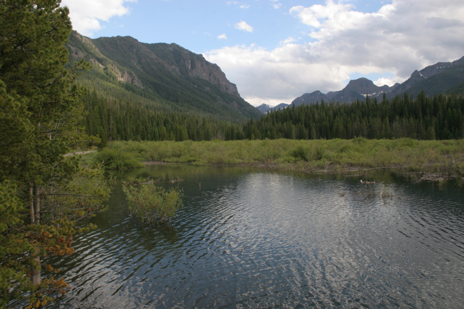 An image depicting the trail Black Crescent Trail and its surrounding area.