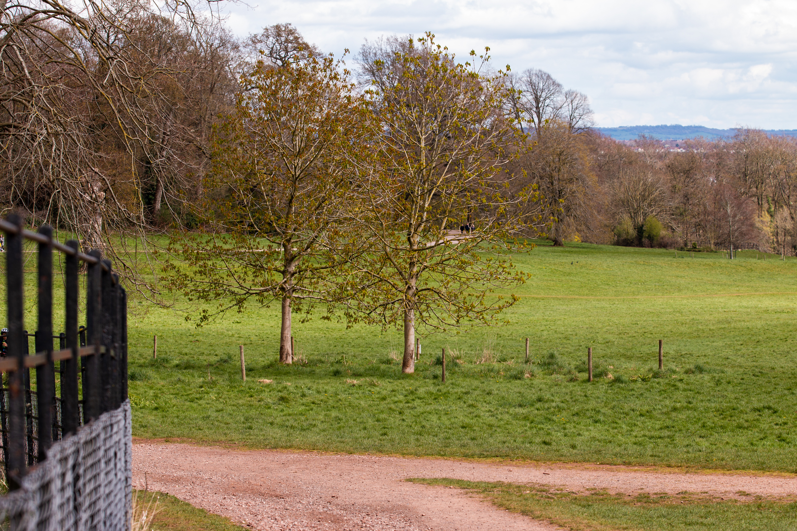 An image depicting the trail Community Forest Path and its surrounding area.