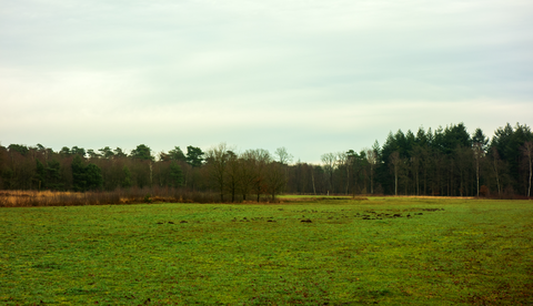 Panbos, Willem Arntszbos, Ridderoordse Bossen, Treekerpunt and Fort bij Vechten Loop