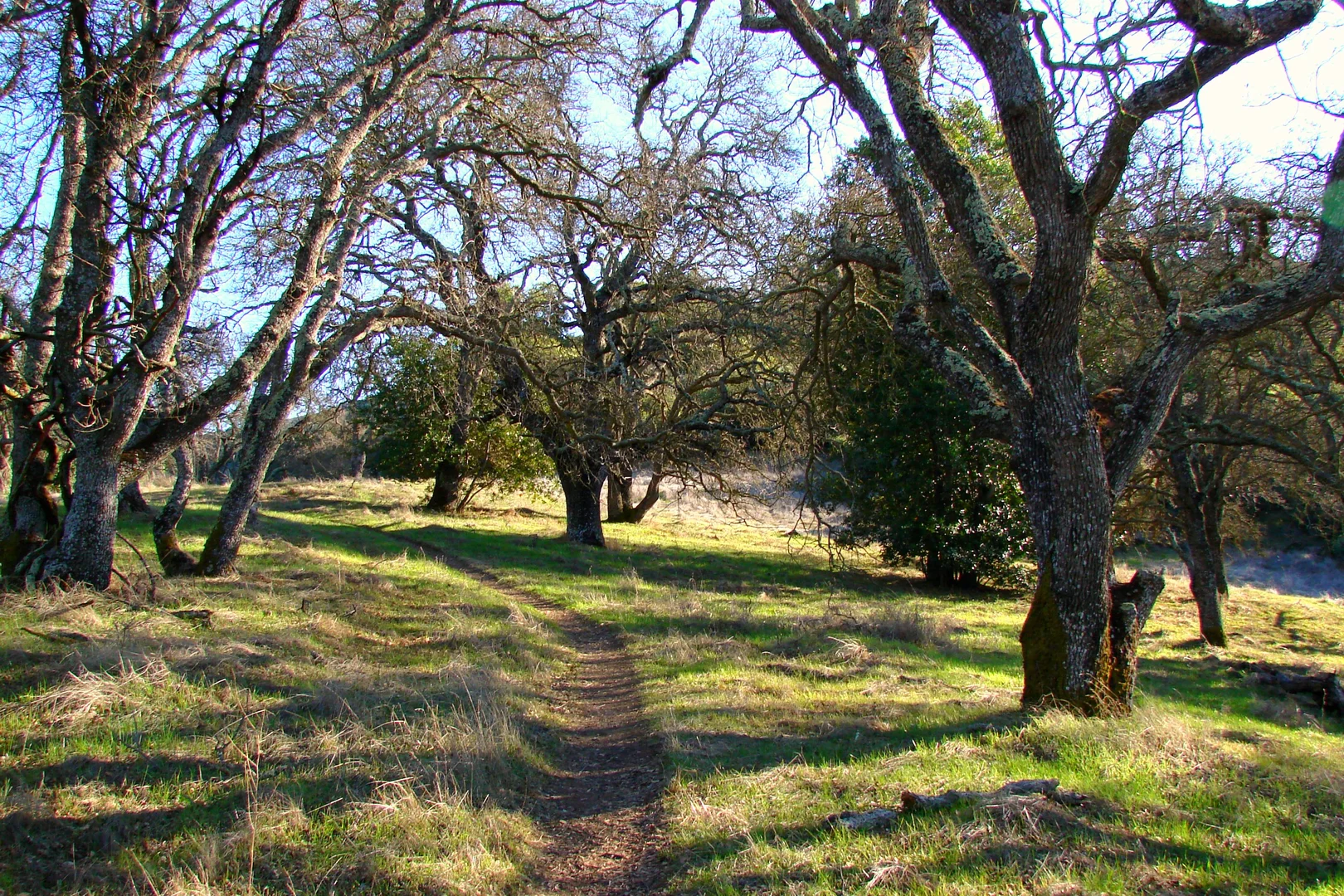 An image depicting the trail Castillero and Mine Hill Loop Trail and its surrounding area.