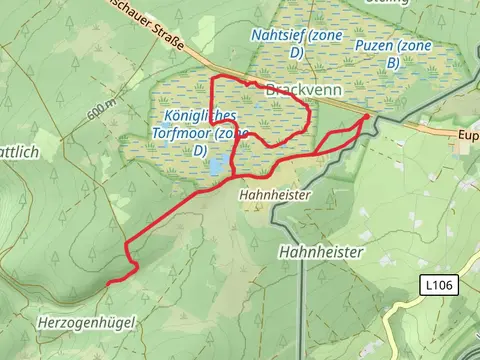 Hahnheister and Brachvenn Loop via Waldweg