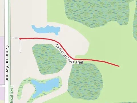 Cameron Tract Trail