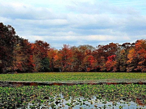 Wantagh Pond - Seaman Pond Loop