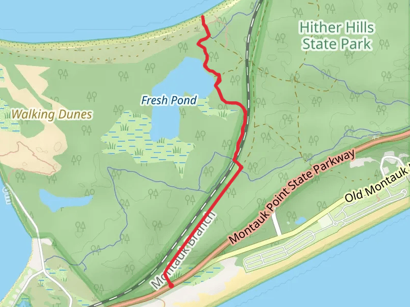 Fresh Pond from Montauk Point State Parkway