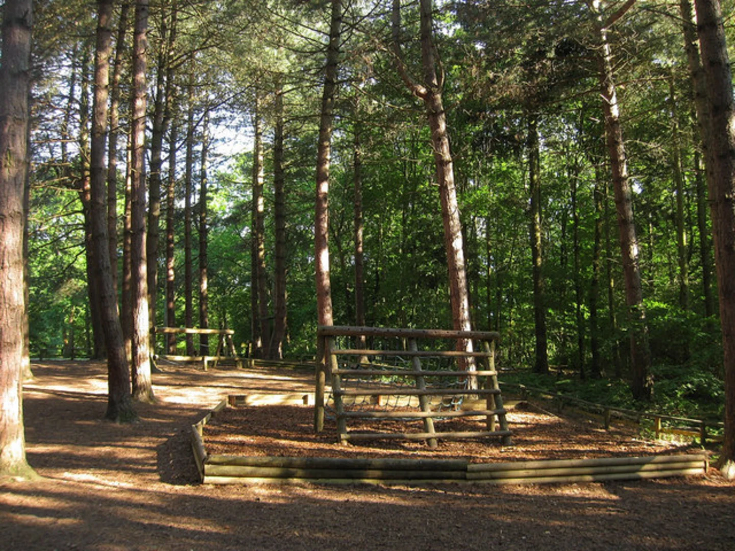An image depicting the trail Abbot's Wood Loop and its surrounding area.