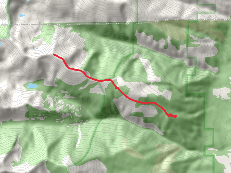 Sweeney Peak