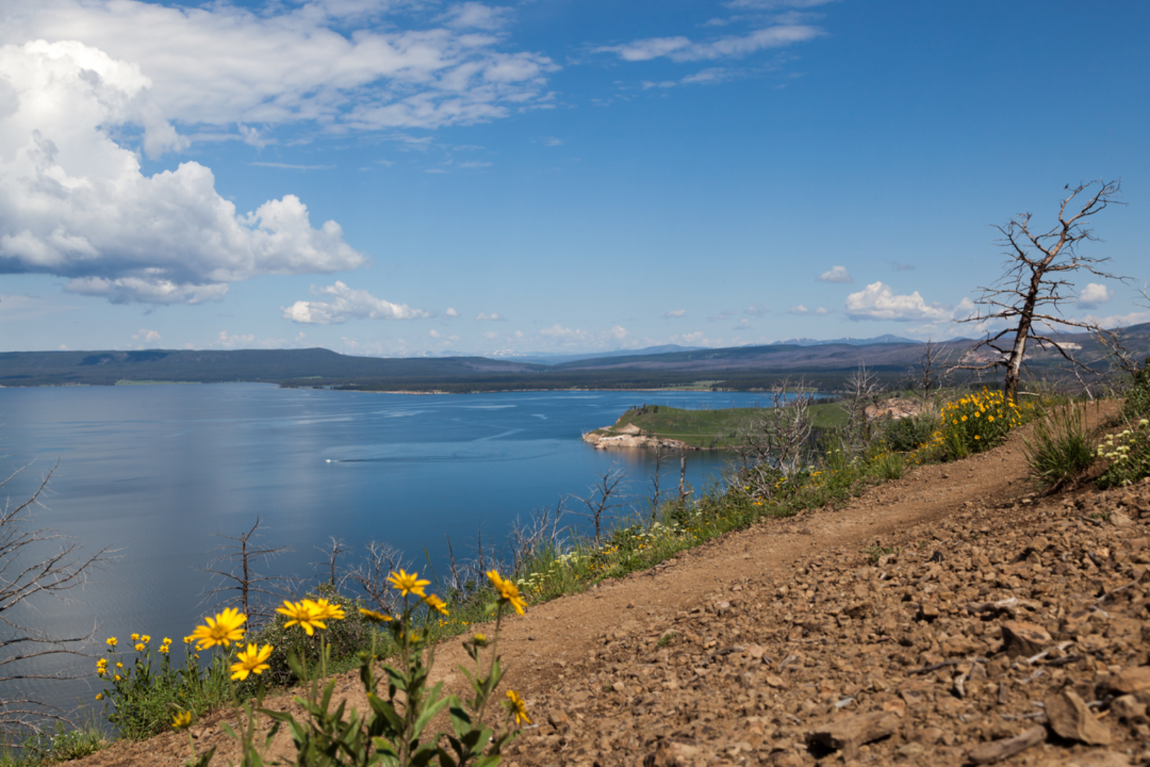 An image depicting the trail Turbid Lake Trail and its surrounding area.