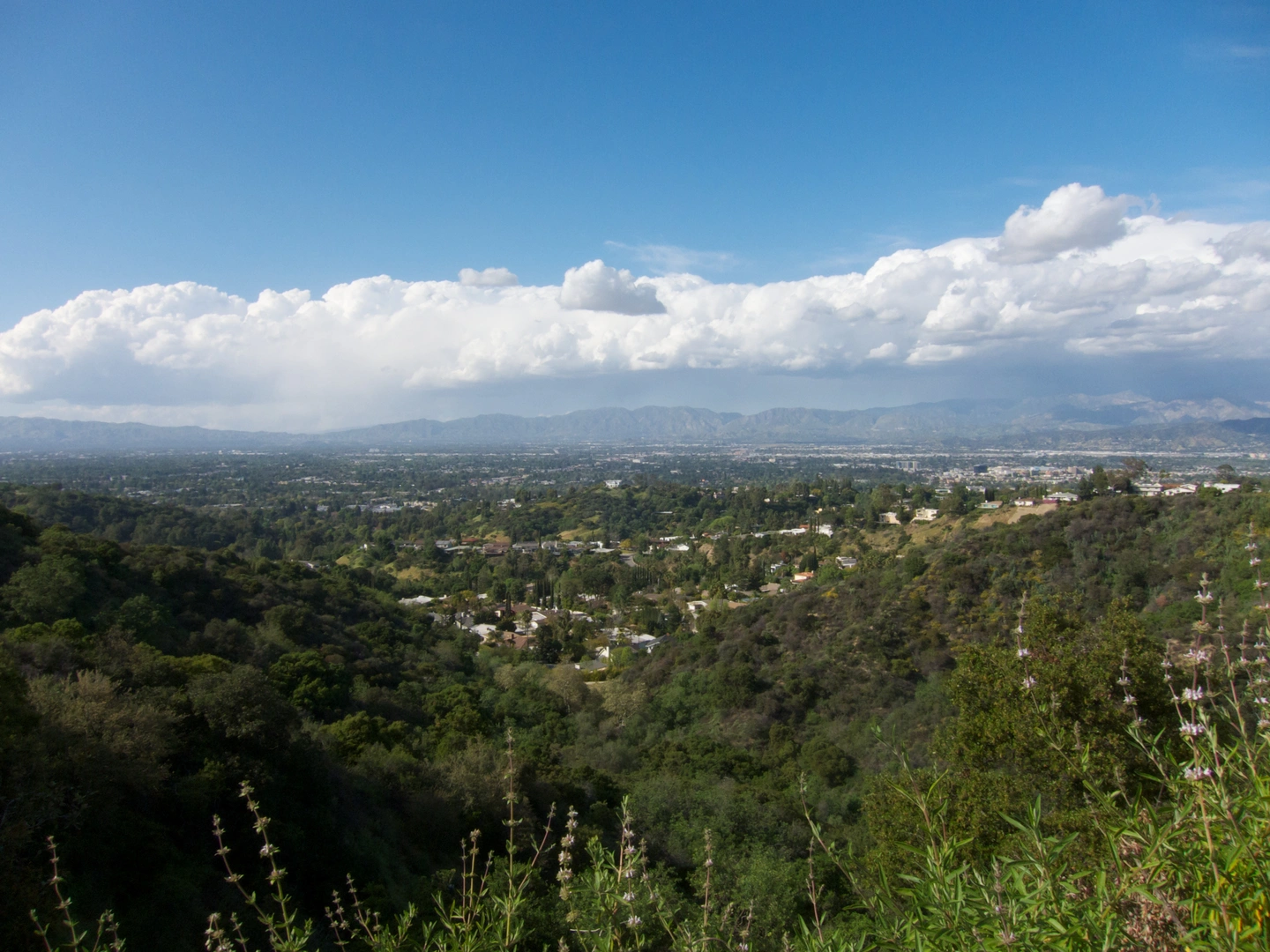 An image depicting the trail Betty B Dearing Loop and its surrounding area.