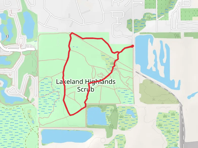 Lakeland Highlands Scrub Loop