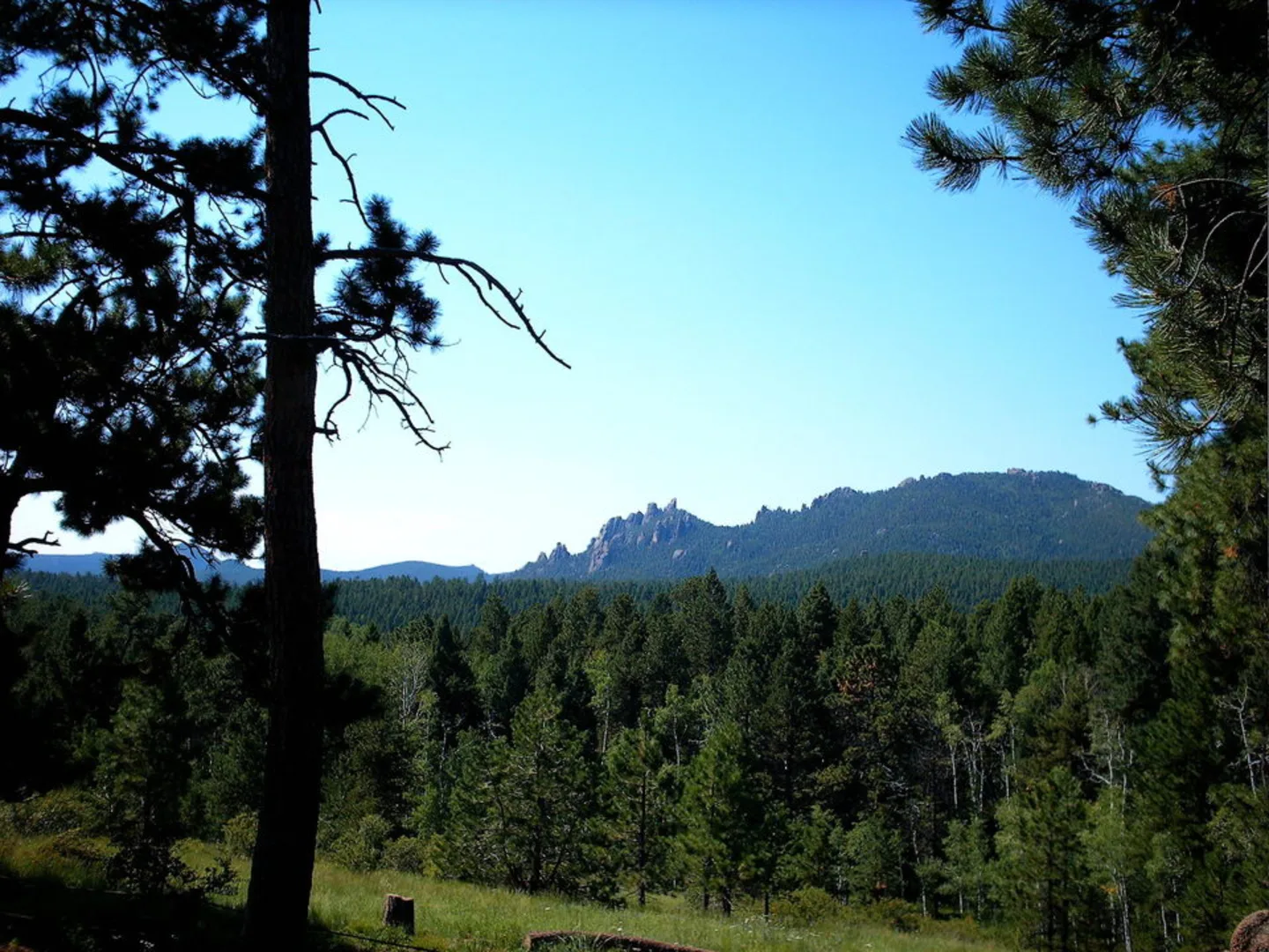 An image depicting the trail Trout Creek Connection Trail and its surrounding area.
