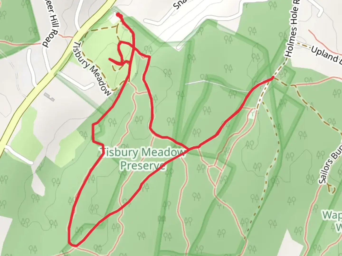 An image depicting the trail Holmes Hole Road Loop and its surrounding area.