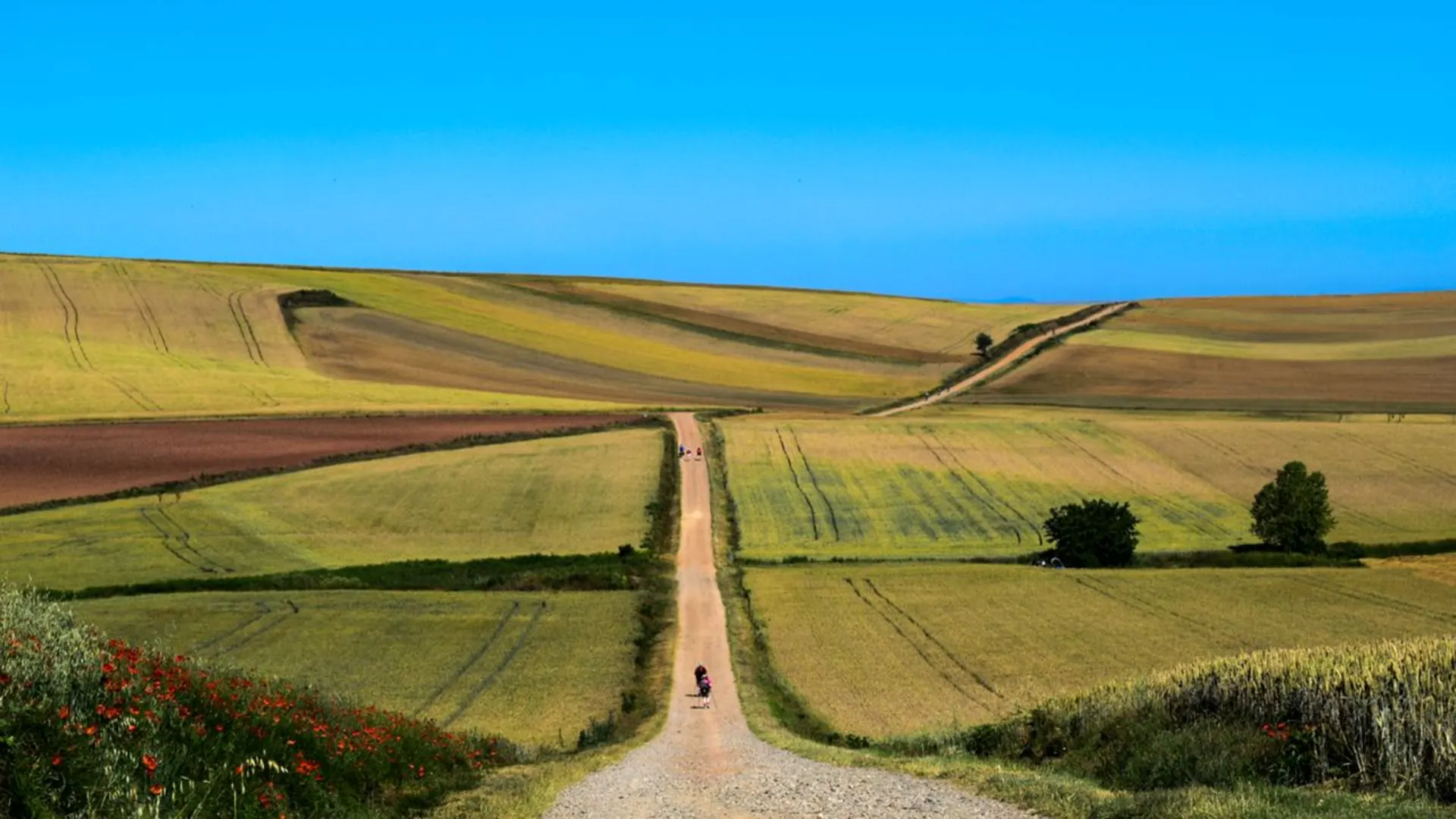 An image depicting the trail Camino Aragones and its surrounding area.