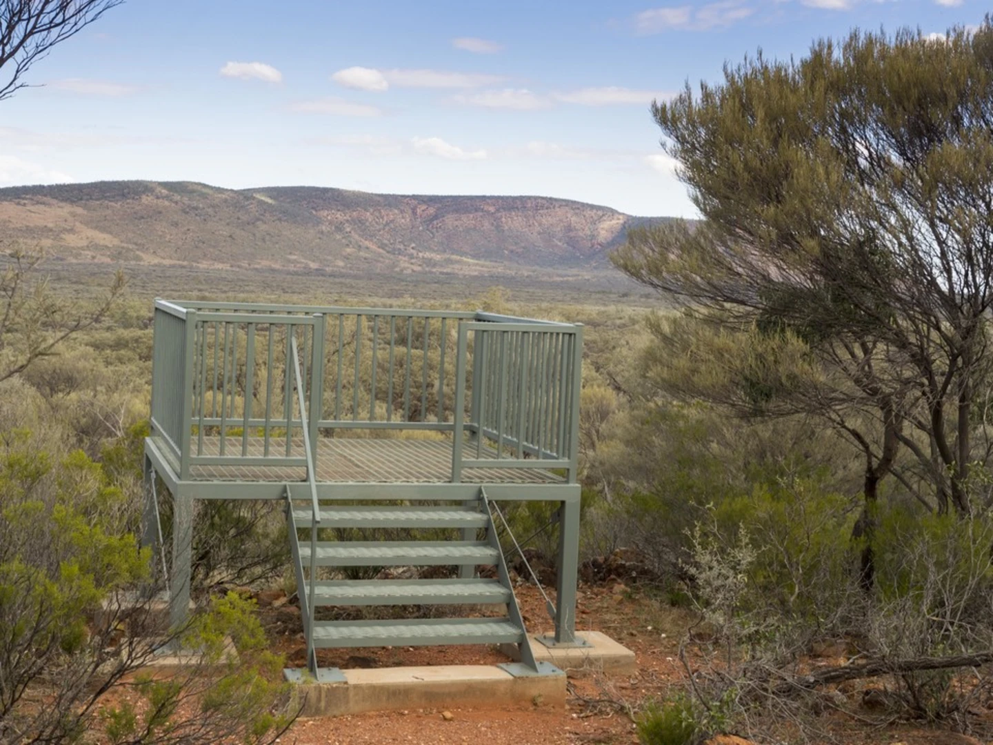 An image depicting the trail Little Mountain Track and its surrounding area.