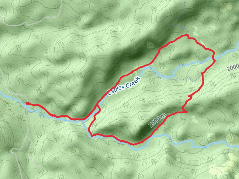 Caples Creek Loop Trail
