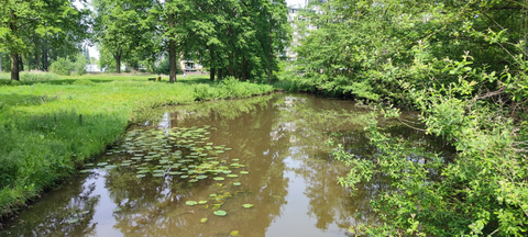 Molenheide, Boekels Ven and Luchensche Heide Loop