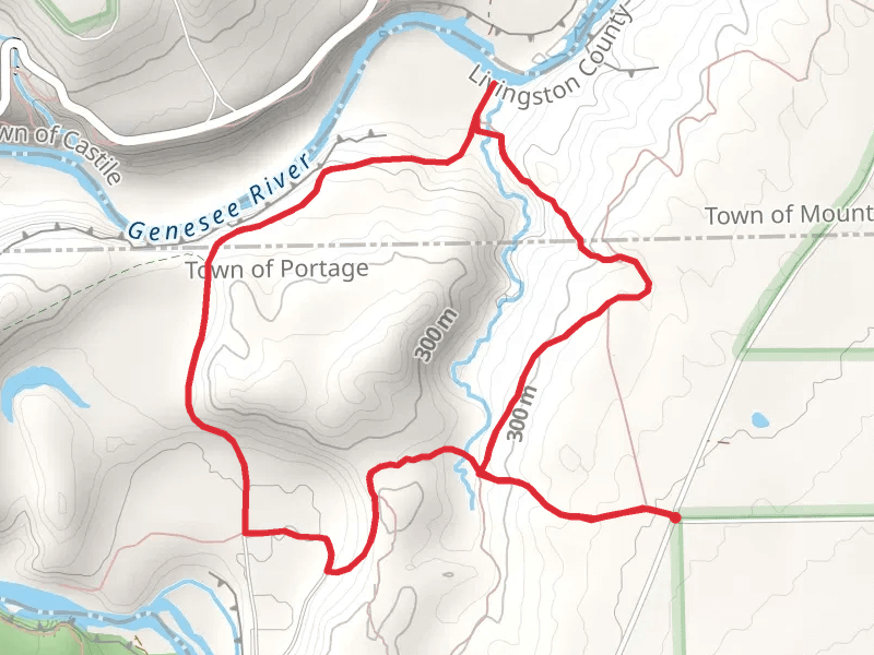 Dishmill Creek Loop Trail