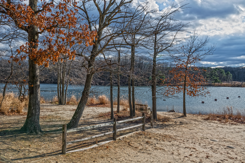 Green Loop Trail in Cheesequake State Park
