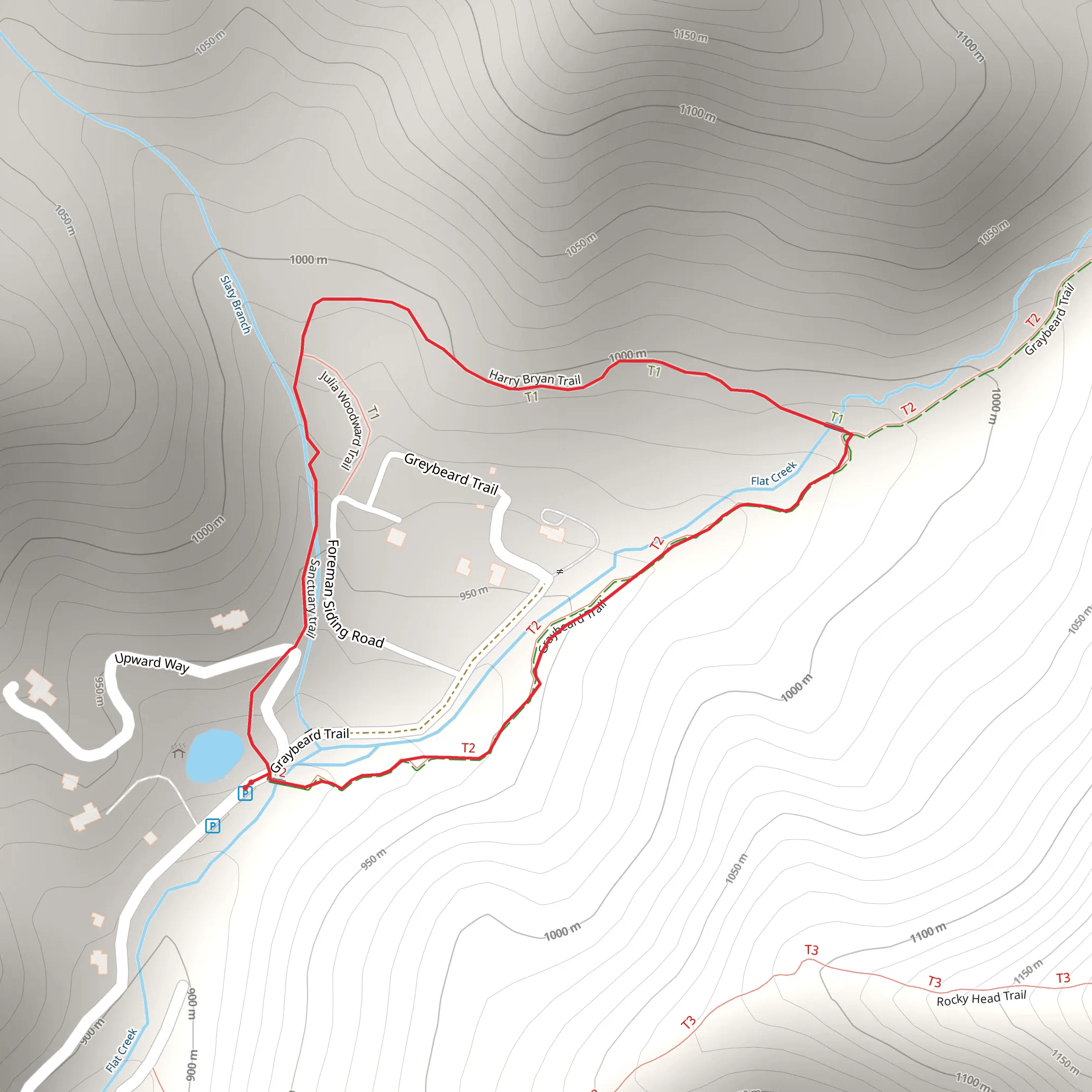 Graybeard - Harry Bryan - Sanctuary Loop Trail mobile static map