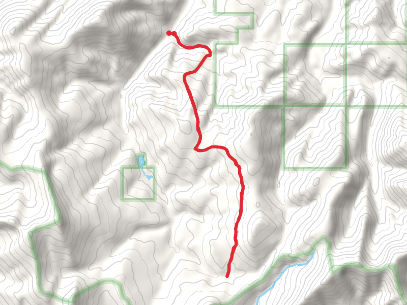 Castle Creek Trail
