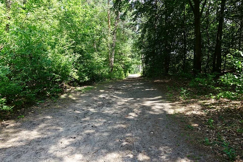 Dossenwald Rundweg Loop