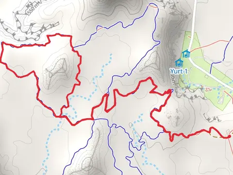 Lizard Foot, Desert View and Dark Side of the Moon Loop