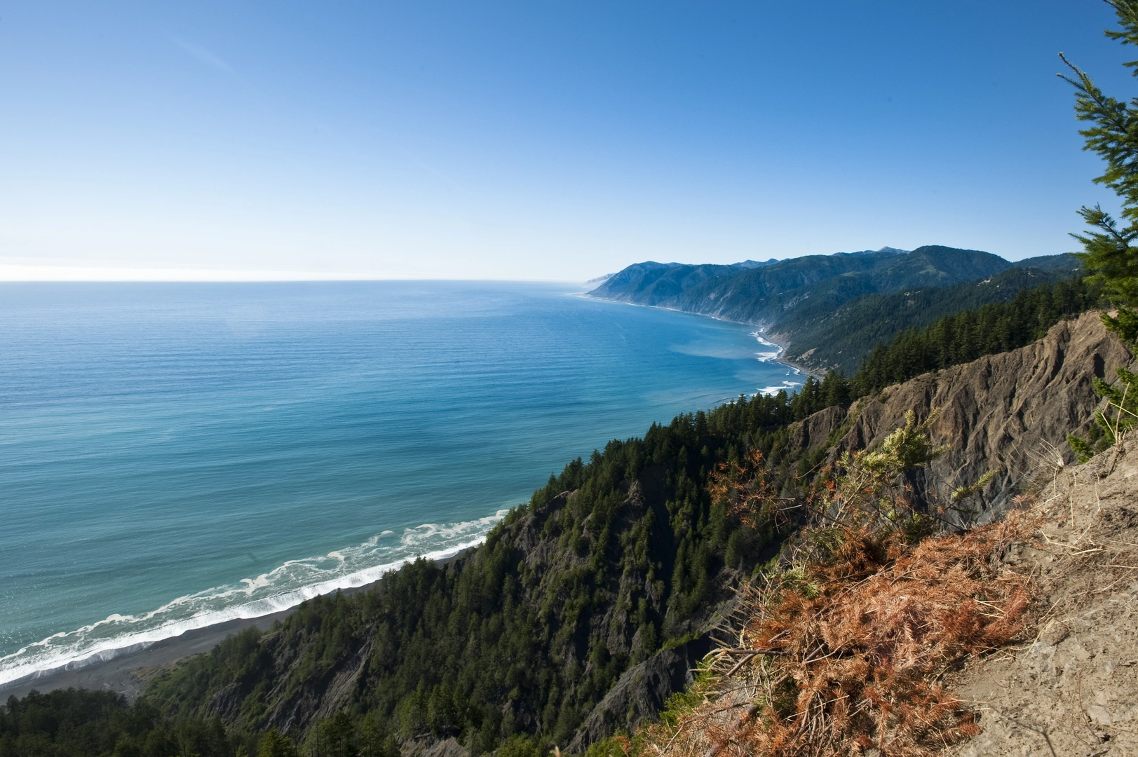An image depicting the trail Lost Coast Trail Out and Back and its surrounding area.