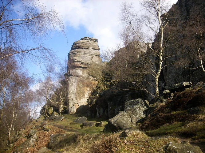 GHB Ward Walk and Hay Wood Loop