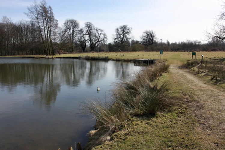 Normanby Hall Country Park