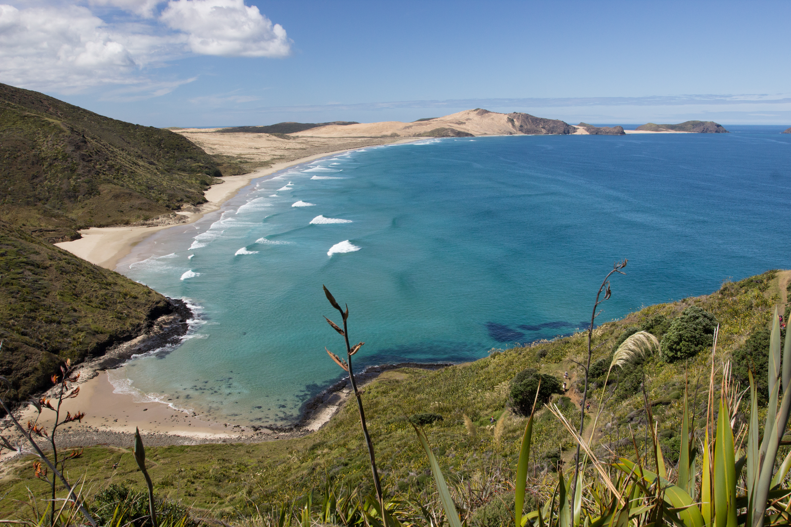 An image depicting the trail Te Werahi Beach Track and its surrounding area.