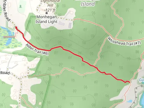 Alder Trail
