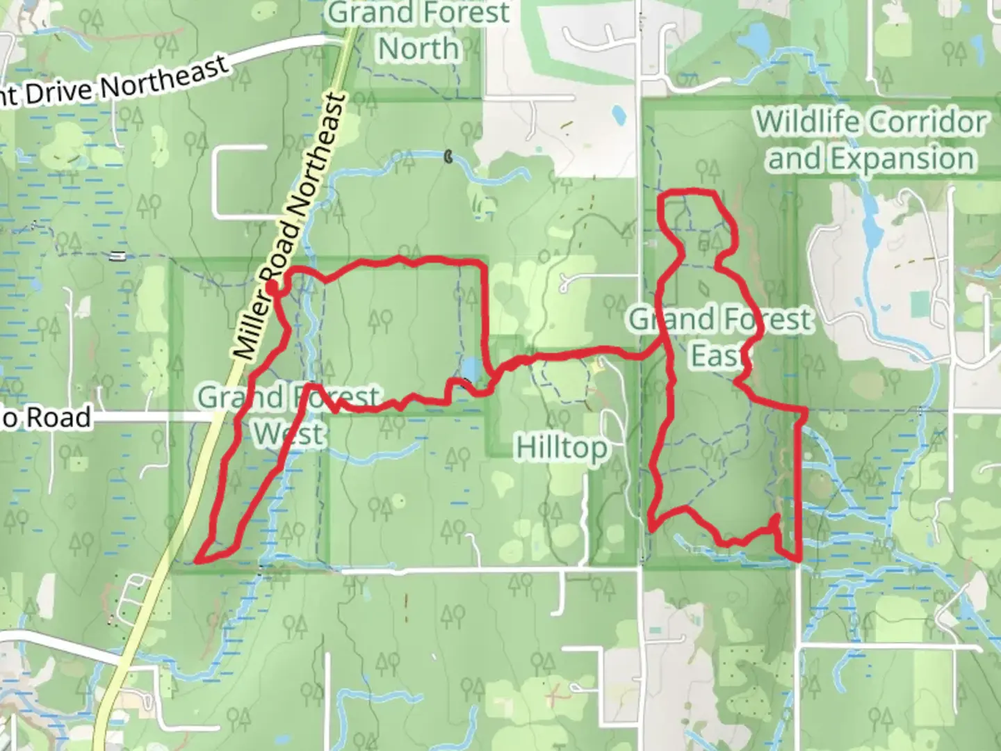 An image depicting the trail Trillium Trail and Main Loop Trail and its surrounding area.