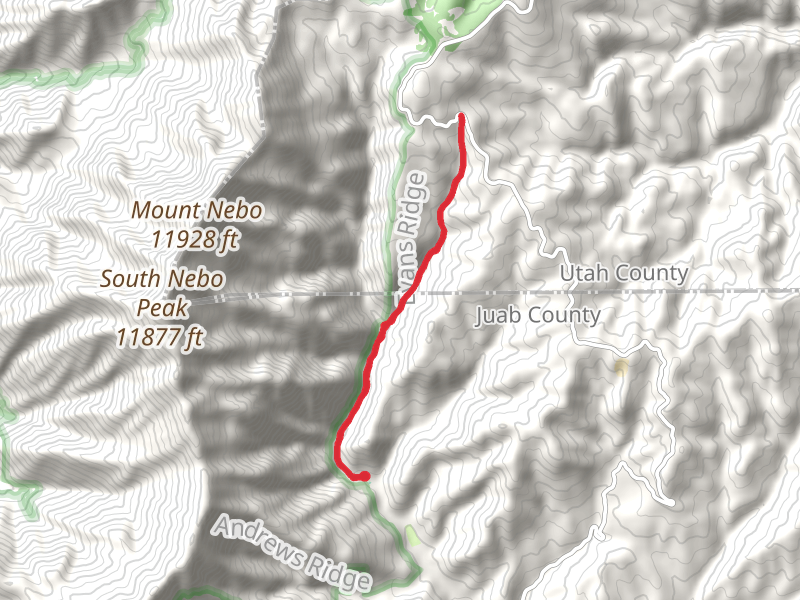 Right Fork Salt Creek Trail Out and Back