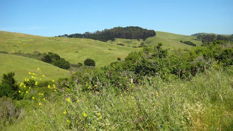 Wildcat Creek Trail and Nimitz Loop Way