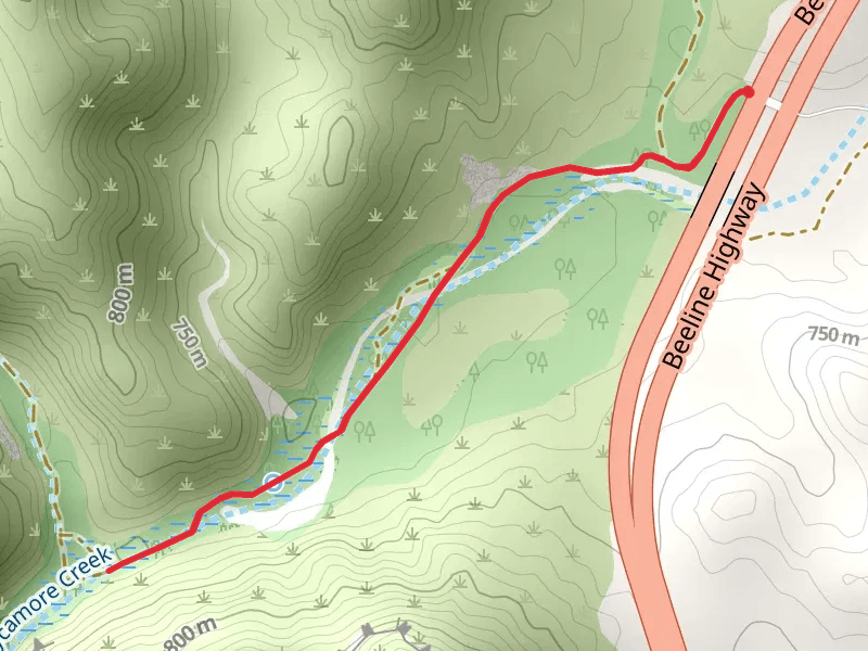 Sycamore Creek Out and Back