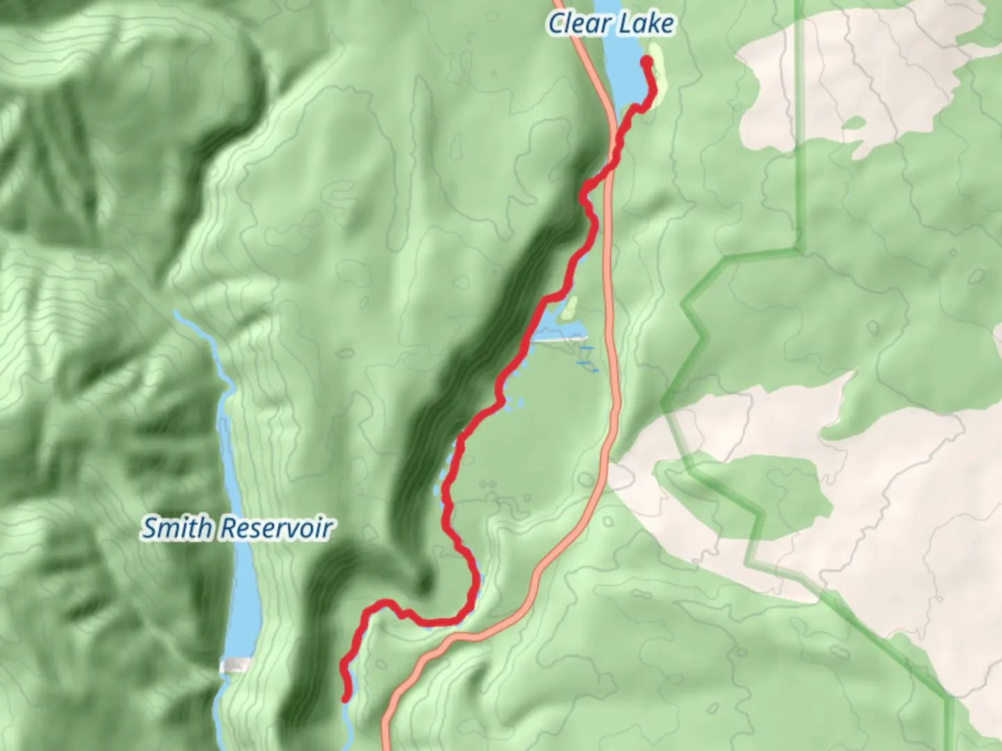 An image depicting the trail McKenzie River Trail from Clear Lake and its surrounding area.