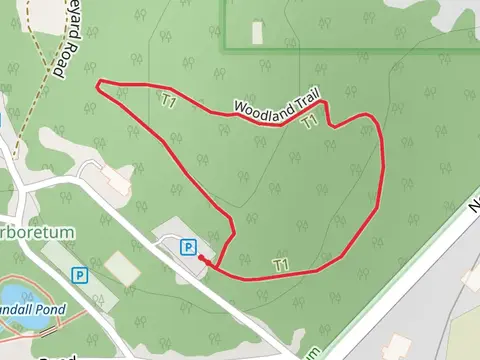 Woodland Loop Trail