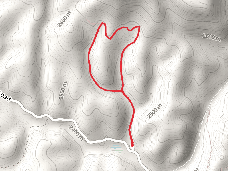 Apple Tree Canyon and Spur Loop Trail