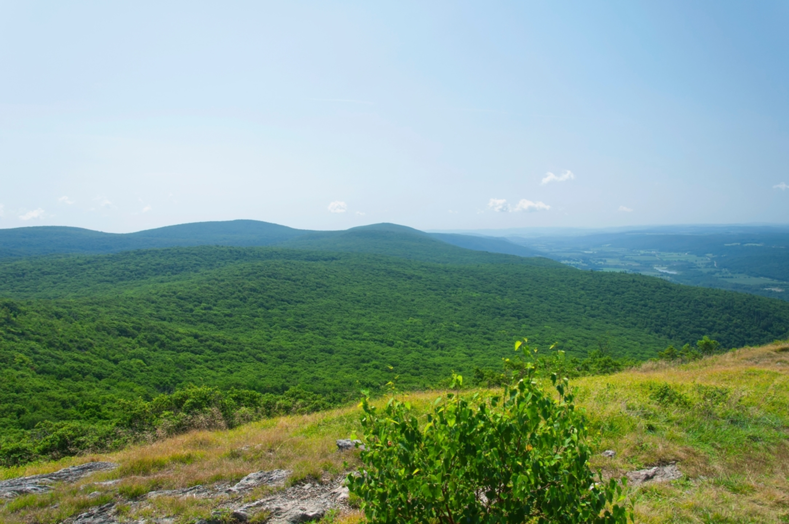 An image depicting the trail Bash Bish Mountain and Alander Mountain Trail and its surrounding area.