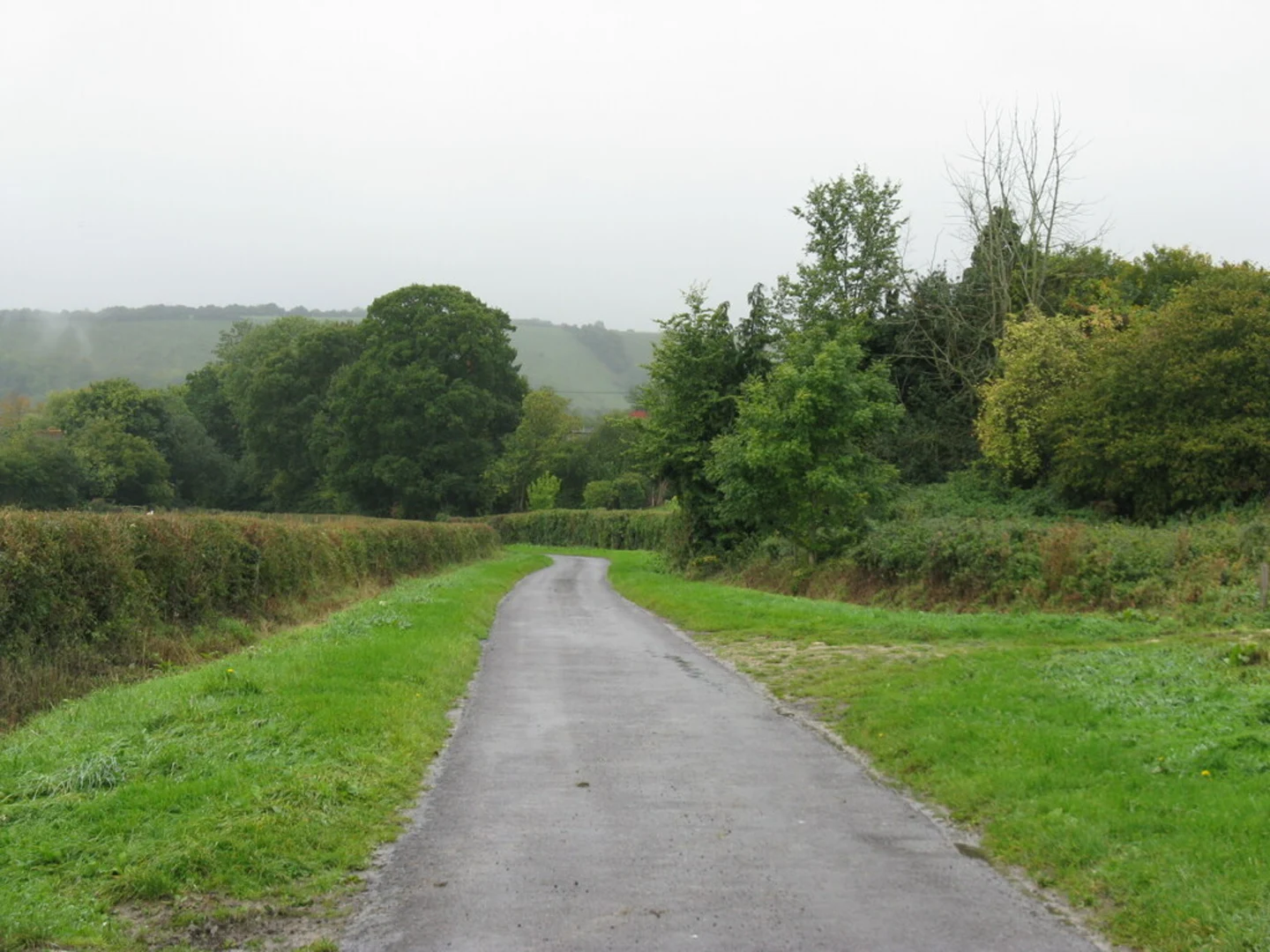 Hooksway and Elsted Loop | West Sussex | England