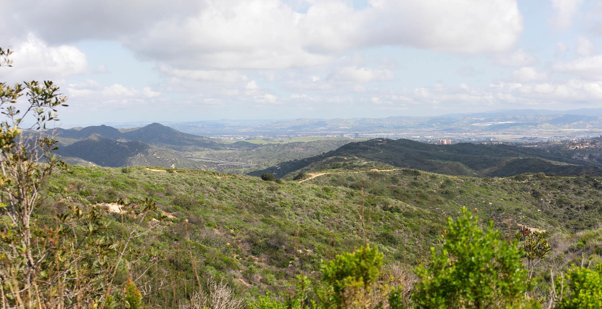 An image depicting the trail Alison Creek and Coyote Run Loop Trail and its surrounding area.