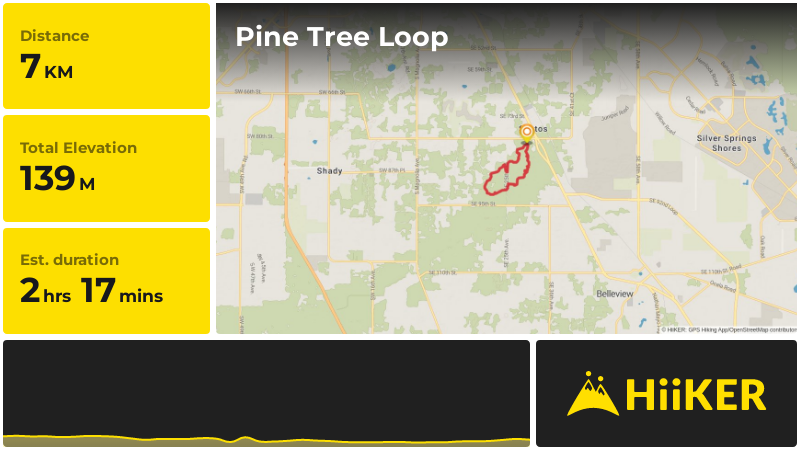 Pine Tree Loop | Marion County | Florida