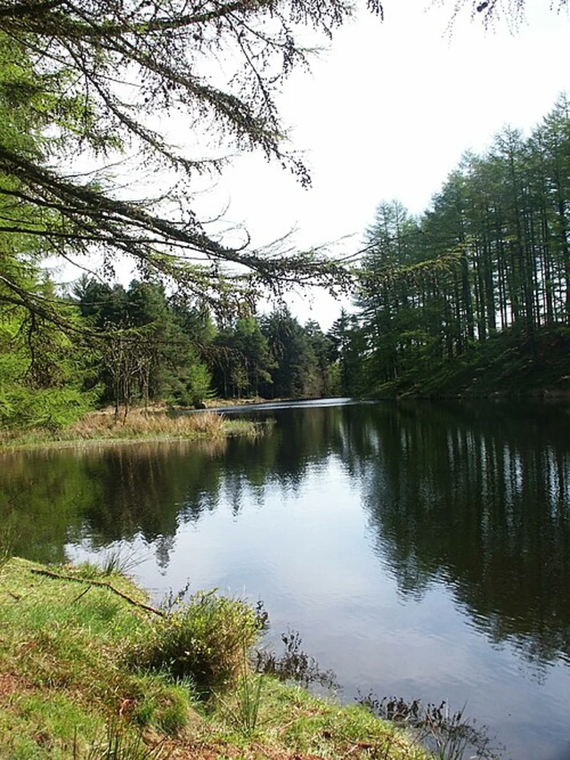 An image depicting the trail High Broadrayne to Fisher Place Walk via Grisedale Tarn and its surrounding area.