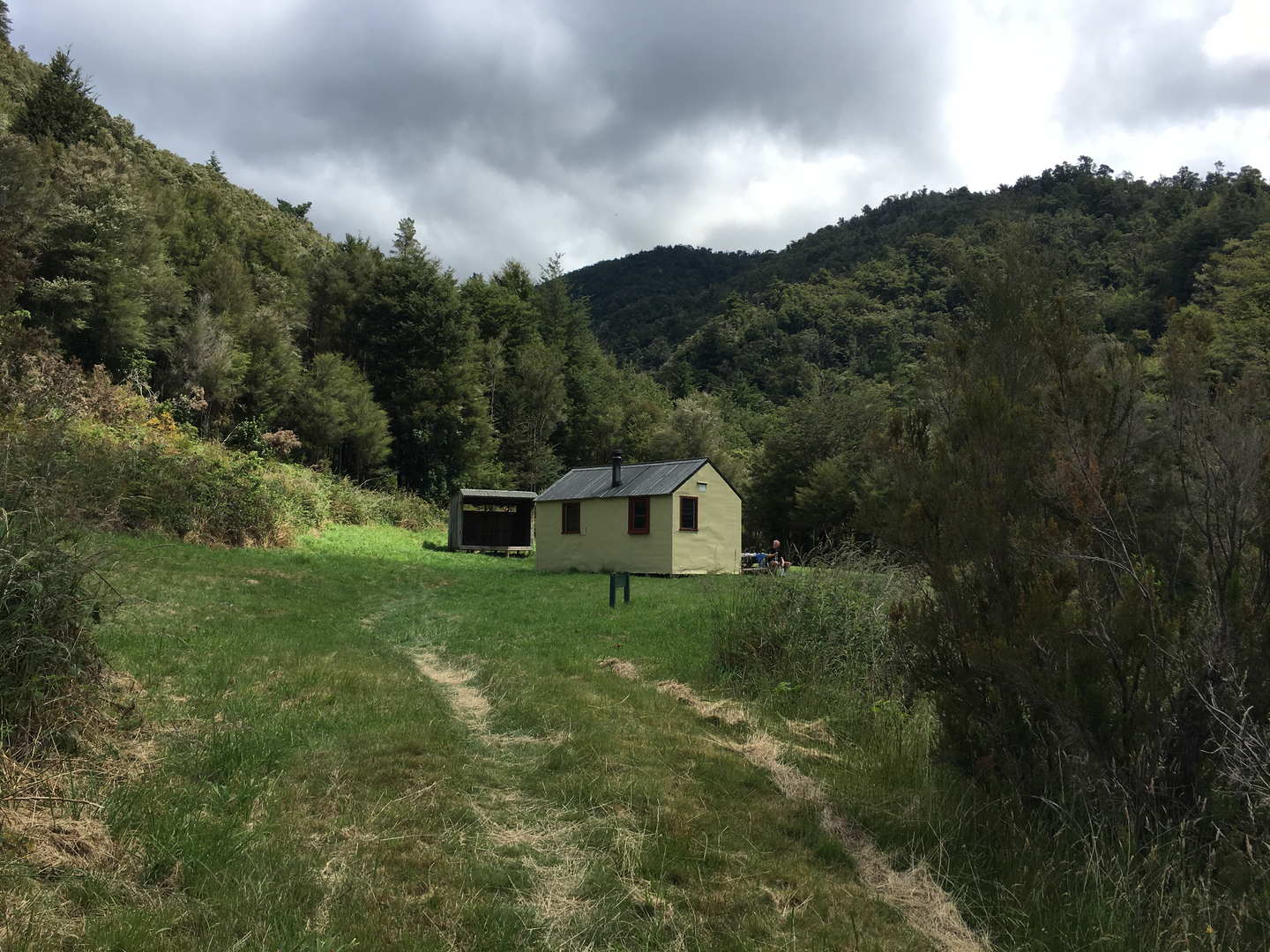 An image depicting the trail Pelorus Track and its surrounding area.