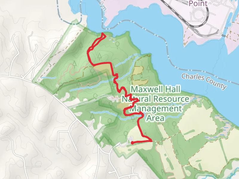 Green and Brown Trail