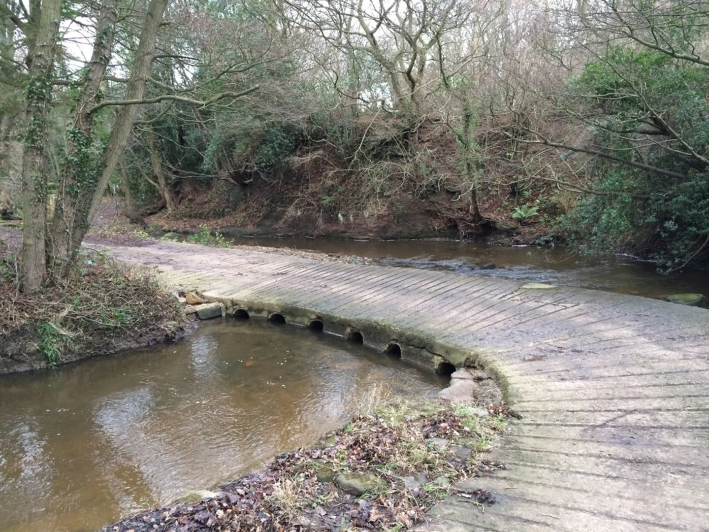 An image depicting the trail Littlebeck Nature Reserve Walk and its surrounding area.