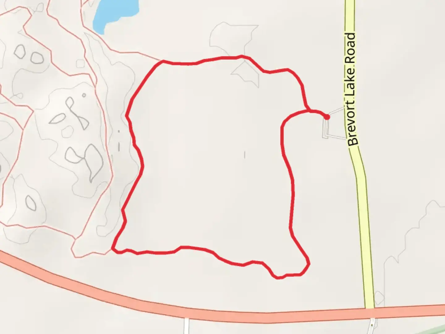 An image depicting the trail Loop A - Brevort Lake Road and its surrounding area.