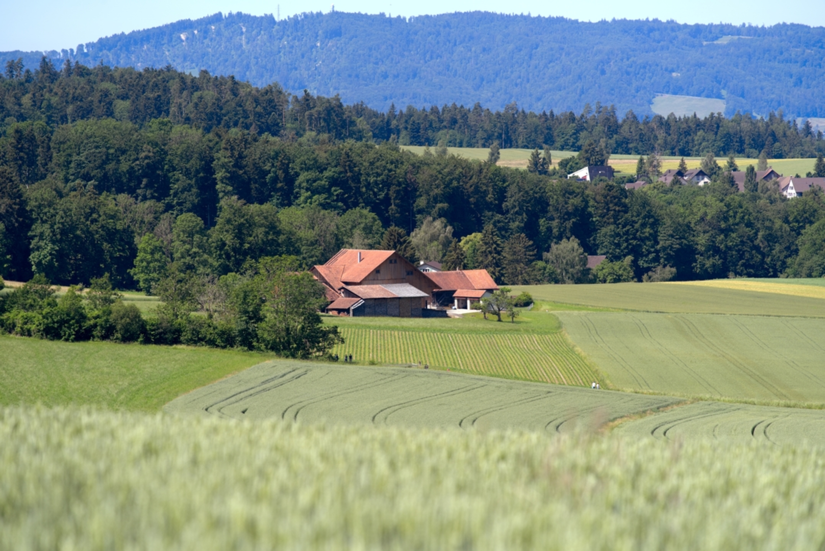An image depicting the trail Erlenbach to Küsnacht Trail and its surrounding area.