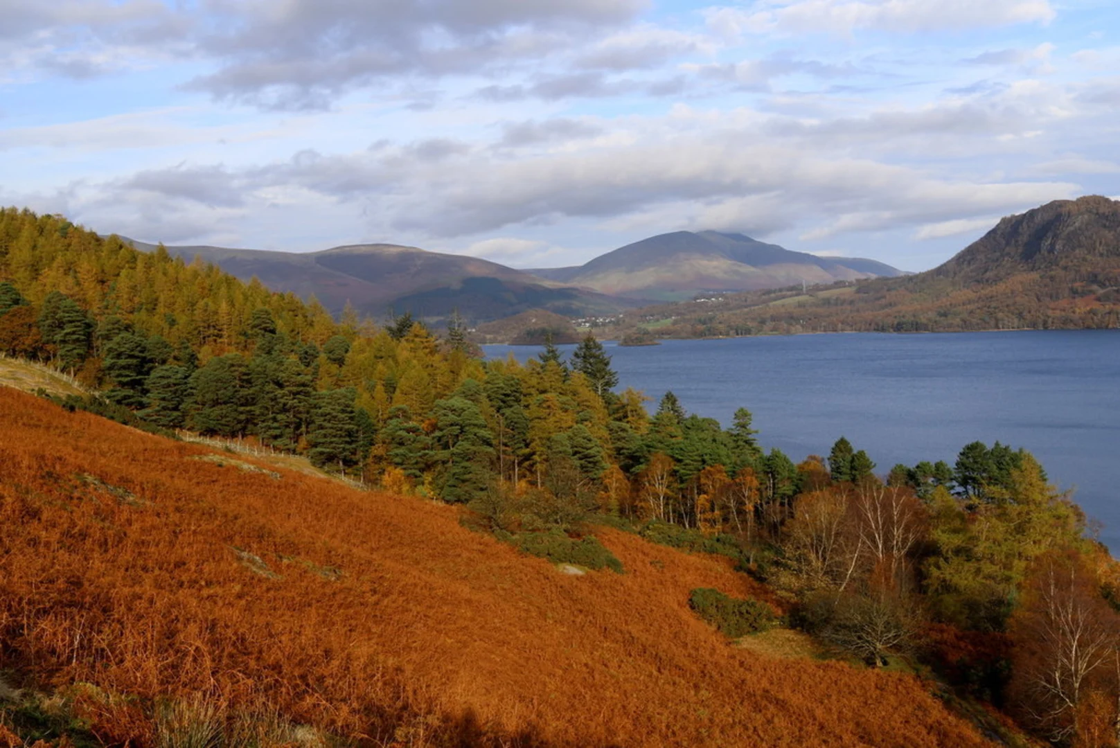 An image depicting the trail Derwentwater Lakeshore and Brandlehow Park Walk and its surrounding area.