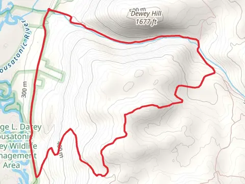 Roaring Brook and Dewey Hill Loop